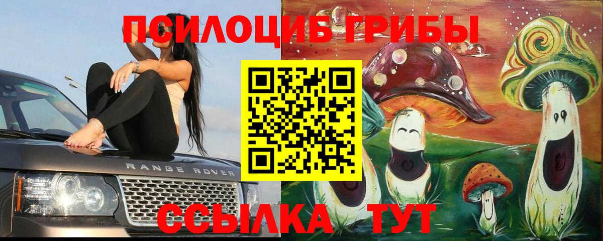 Галлюциногенные грибы ЛСД  Вход с VPN  Кушва  Псилоцибиновые грибы Magic Shrooms 
